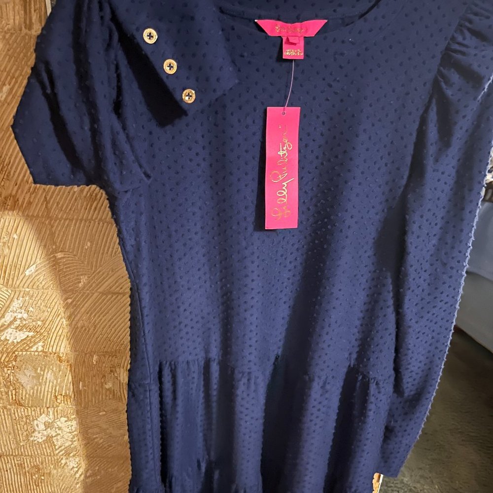 FREE SHIPPING; Gorgeous Blue raised layered dress; NEW WITH TAGS